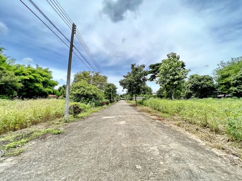 Prime Land for Sale – Multiple Plots in Rimkok, Chiang Rai, Chiang Rai