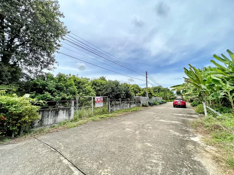 Prime Land for Sale – Multiple Plots in Rimkok, Chiang Rai, Chiang Rai