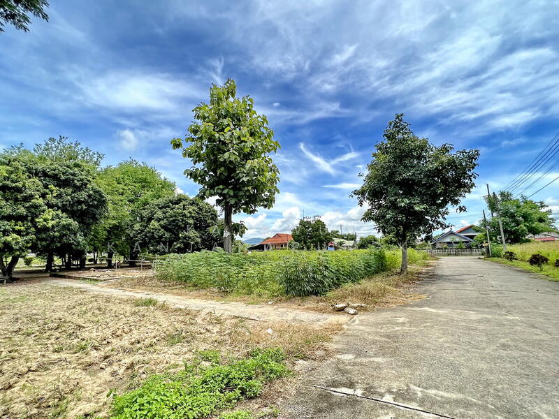 Prime Land for Sale – Multiple Plots in Rimkok, Chiang Rai, Chiang Rai