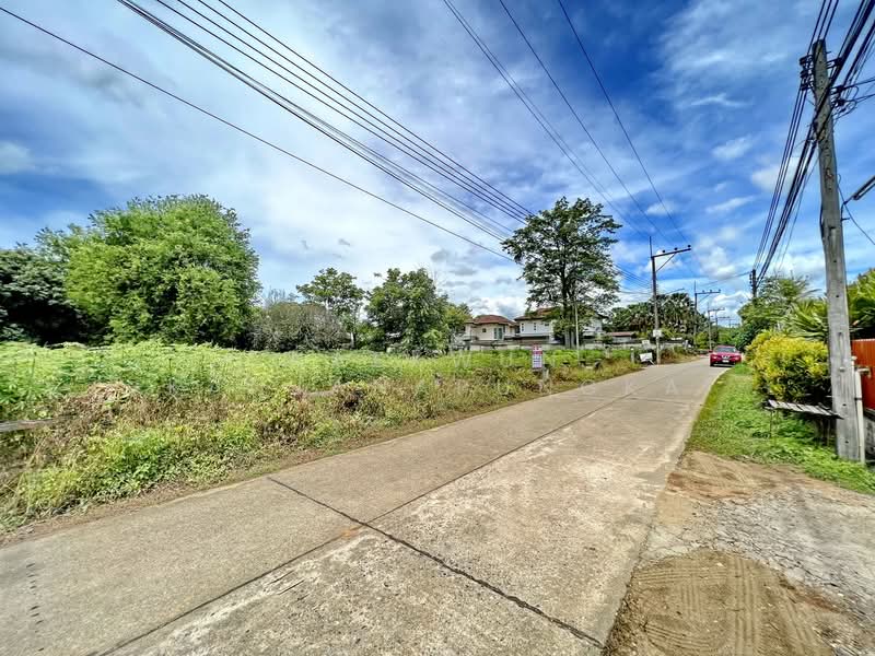 Prime Land for Sale – Multiple Plots in Rimkok, Chiang Rai, Chiang Rai
