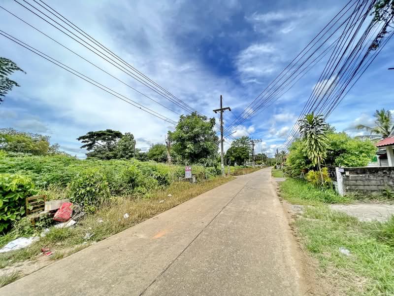 Prime Land for Sale – Multiple Plots in Rimkok, Chiang Rai, Chiang Rai