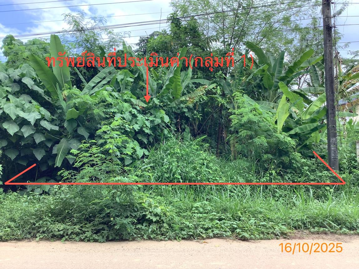 ที่ดินว่างเปล่า ย่านตาขาว ตรัง