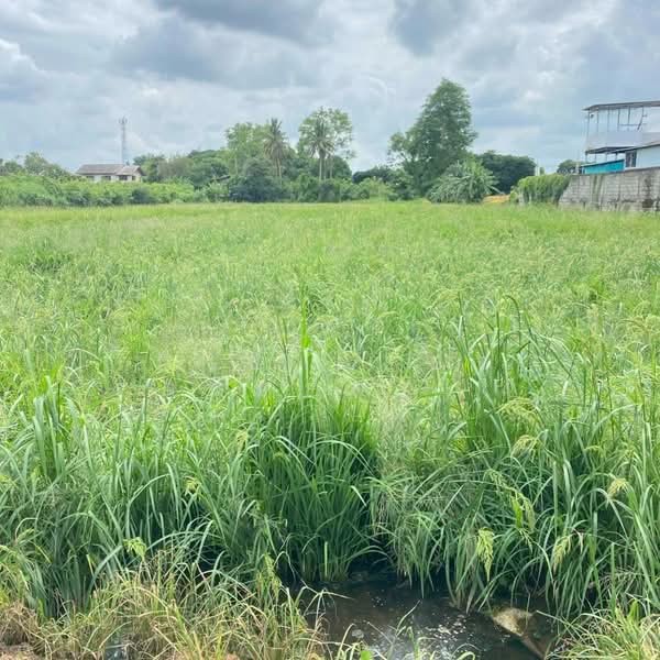 ที่ดินท่าโพธิ์ พิษณุโลก, Phitsanulok