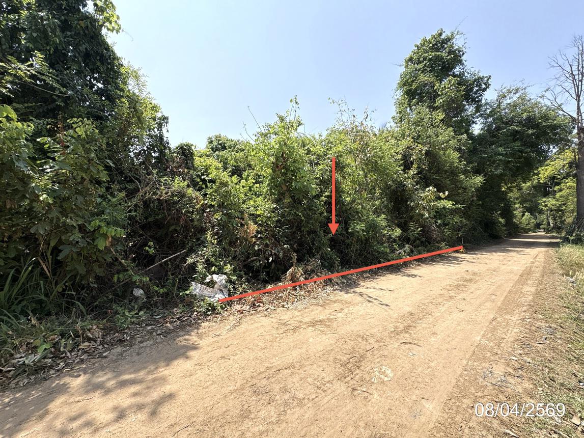 Vacant Land for Sale in Mahachanachai, Yasothon