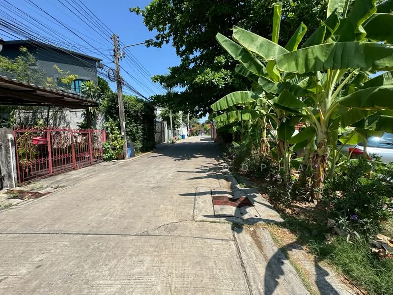 ที่ดินเปล่า โชคชัย4 ซอย49 66 ตรว, Bangkok