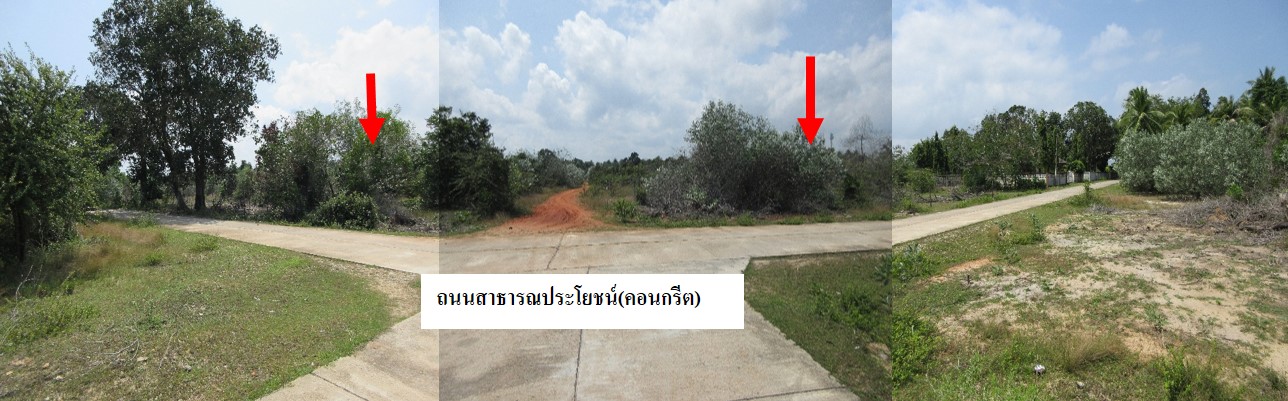 ที่ดินเปล่า นราธิวาส