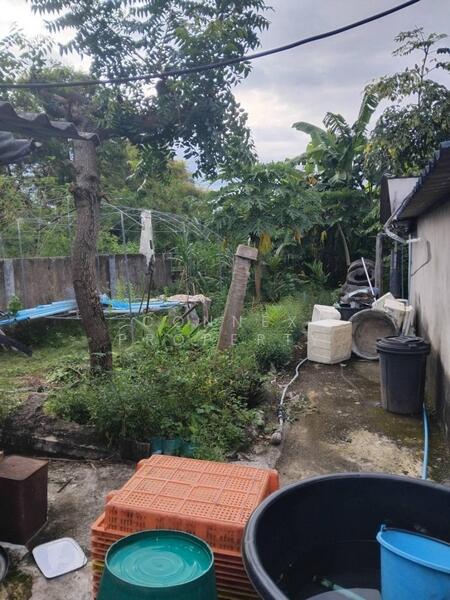 บ้าน 1 ชั้น พื้นที่ 1งาน42.3 ตารางวา, Rayong