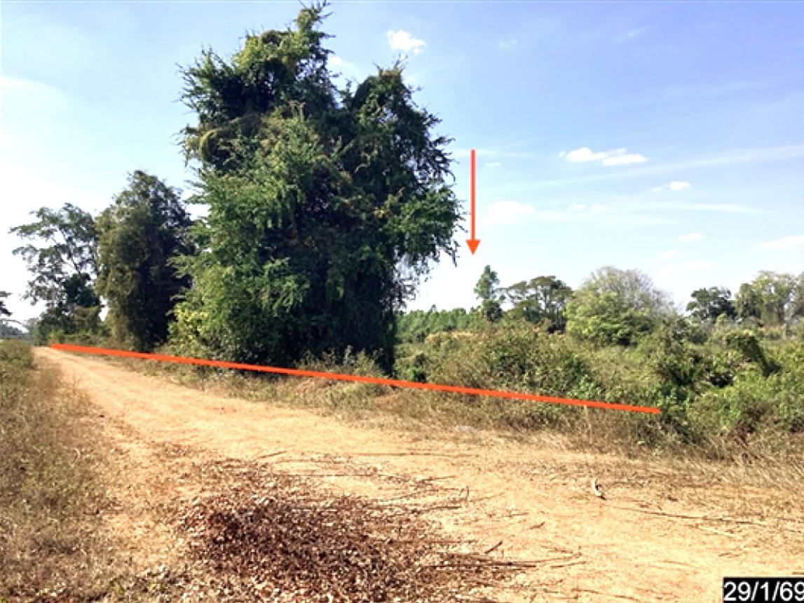 Empty Land for Sale in Chum Phuang, Nakhon Ratchasima