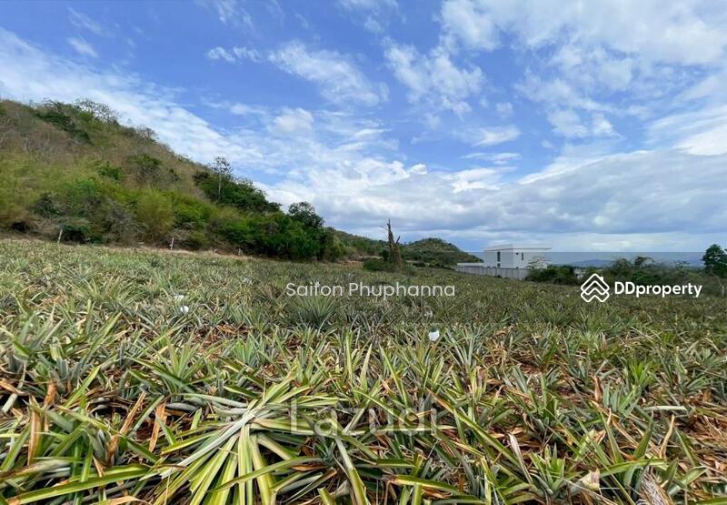 ที่ดินสำหรับขาย, Prachuap Khiri Khan