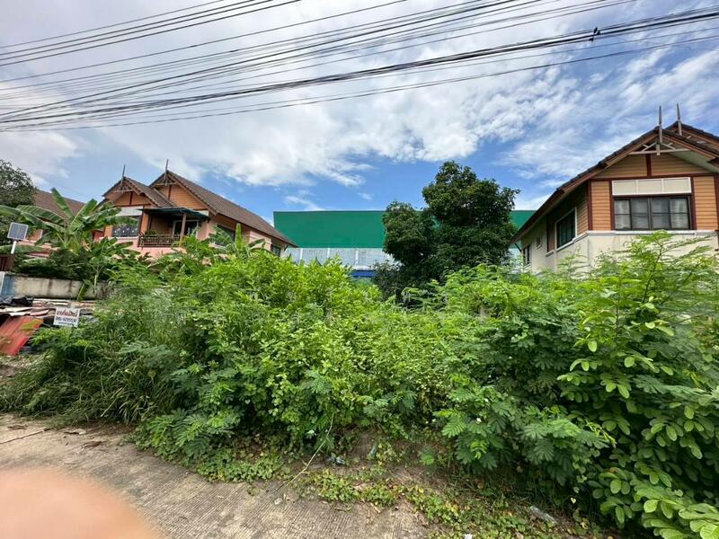 Land area 86.8 square wah , Khok Krabue Subdistrict, Samut Sakhon Province, Samut Sakhon