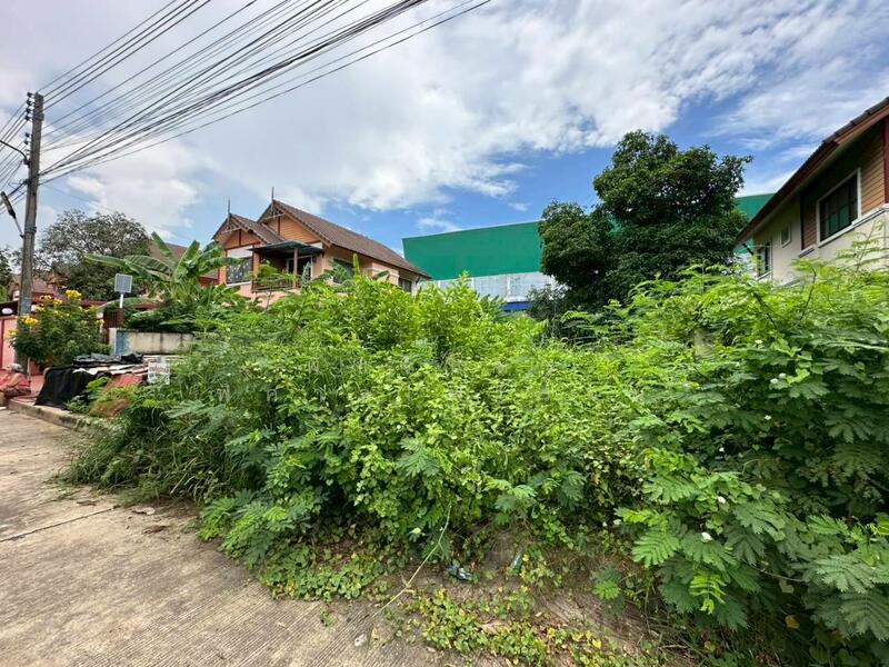 Land area 86.8 square wah , Khok Krabue Subdistrict, Samut Sakhon Province, Samut Sakhon