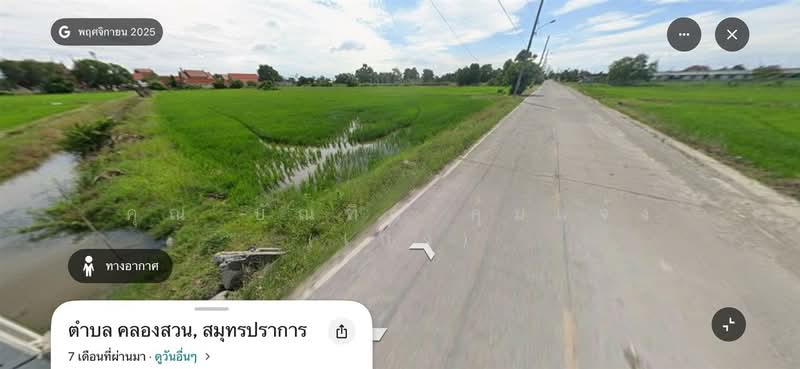 ที่ดินเปล่า 55 ไร่ 80 ตร.ว. ใกล้ตลาดคลองสวน 100 ปี ซอยบ้านปลัดสาย ถนนเทพราช-ลาดกระบัง (ฉช.3001), Samut Prakan