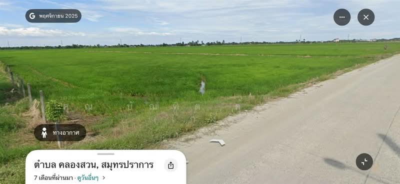 ที่ดินเปล่า 55 ไร่ 80 ตร.ว. ใกล้ตลาดคลองสวน 100 ปี ซอยบ้านปลัดสาย ถนนเทพราช-ลาดกระบัง (ฉช.3001), Samut Prakan