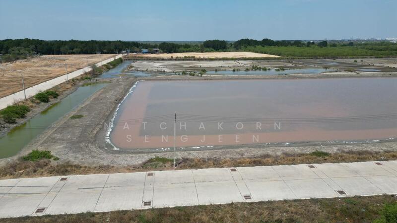 Land for sale, 67 rai, Soi Charoen Suk, Nong Mai Daeng, Mueang, Chonburi., Chon Buri (Pattaya)
