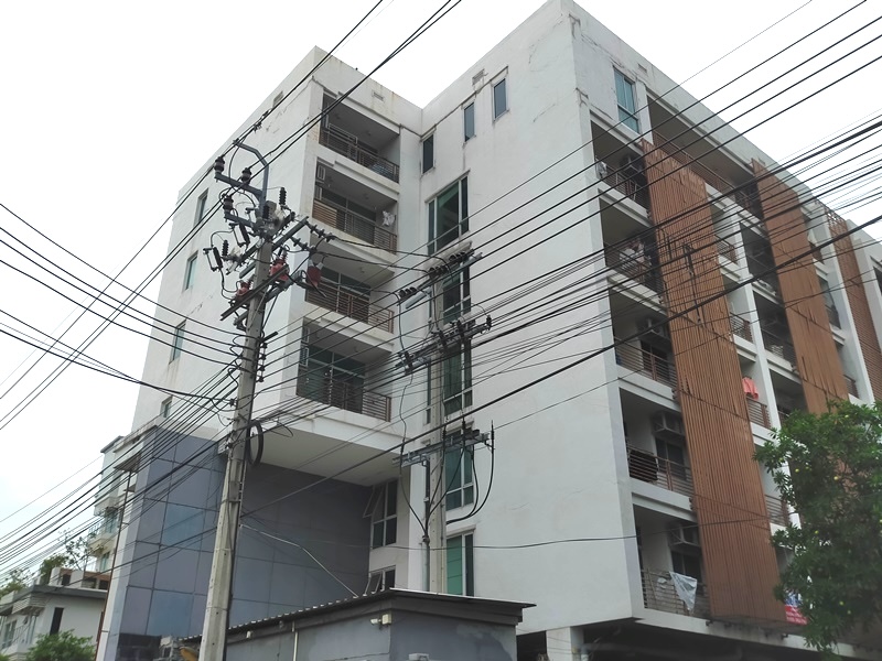 ป่าไม้