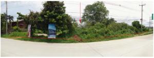 Plot of Land in Chiang Rai, Chiang Rai