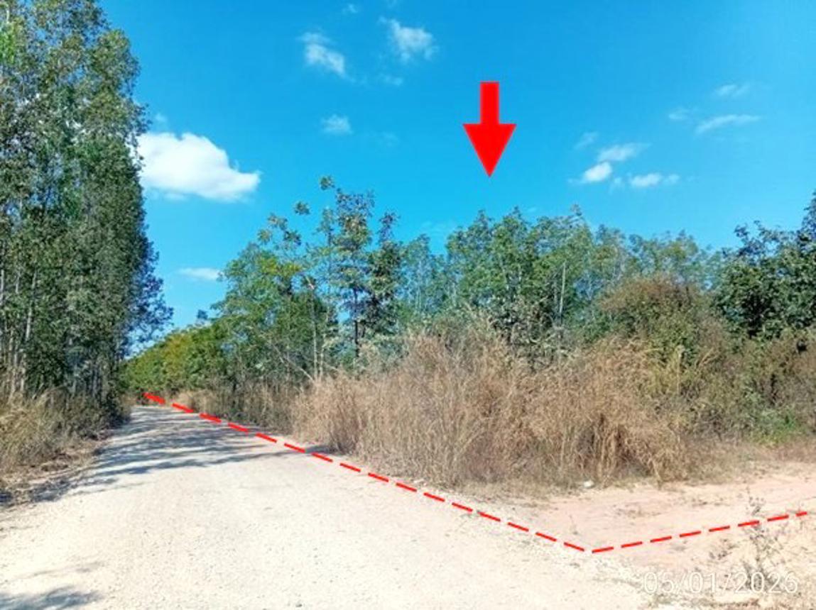 Empty land in Sri Bunyuen, Nong Bua Lamphu
