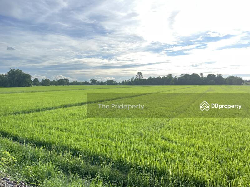 ที่ดิน 4 ไร่ 2 งาน 99 ตร.วา, Nakhon Nayok