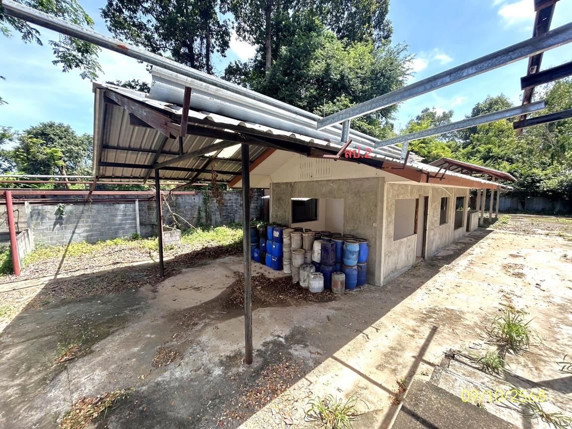 บ้านเดี่ยว ยโสธร เมืองยโสธร