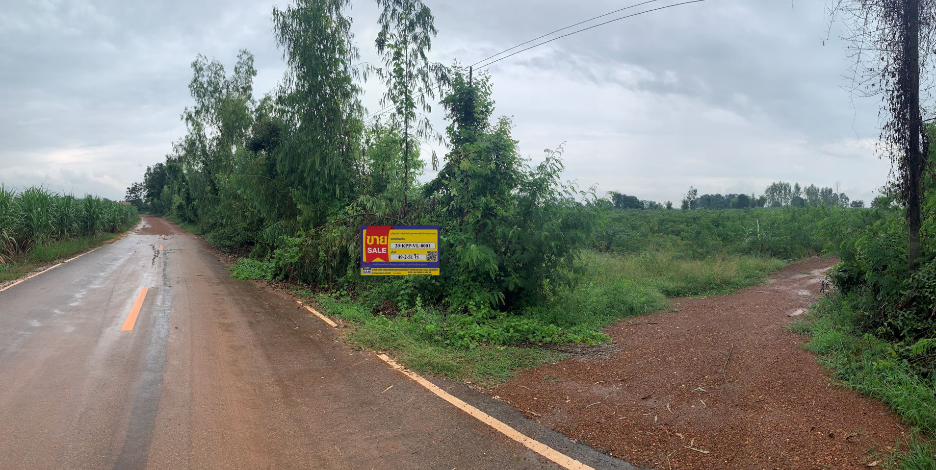 Blank Land in Kamphaeng Phet