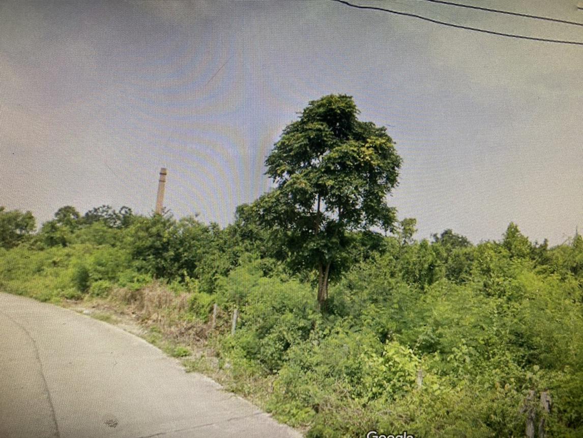 Vacant Land for Sale in Sikhiu, Nakhon Ratchasima