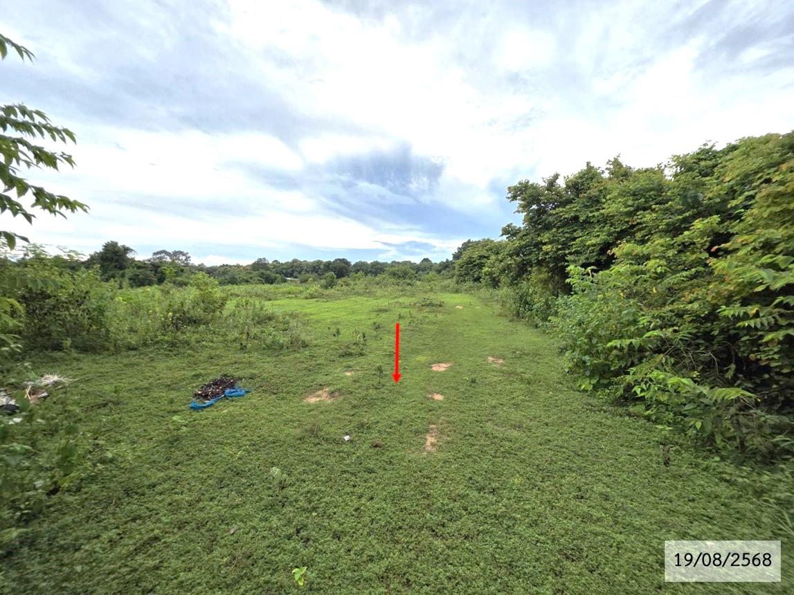 ที่ดินว่างเปล่า สว่างแดนดิน สกลนคร พื้นที่กว้างขวาง มีแสงแดดส่องอ่อน