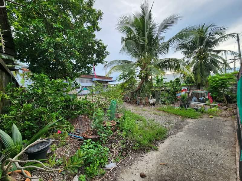 Studio House, Surat Thani
