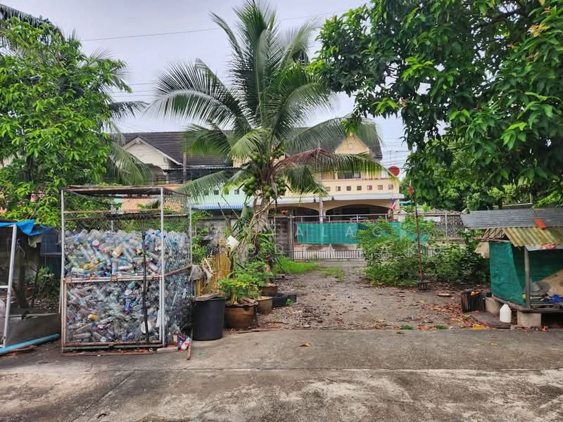 Studio House, Surat Thani