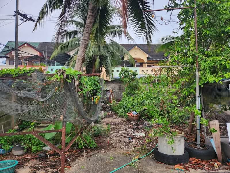 Studio House, Surat Thani