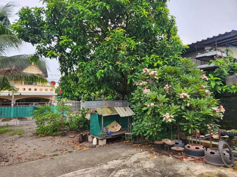 Studio House, Surat Thani