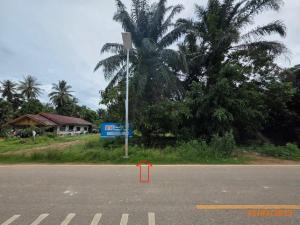 Vacant land overlooking a canal in Krabi.