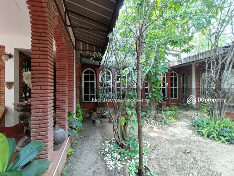 A rare unique house with lots of TREEs in Jed Yod area, Chiang Mai, Chiang Mai