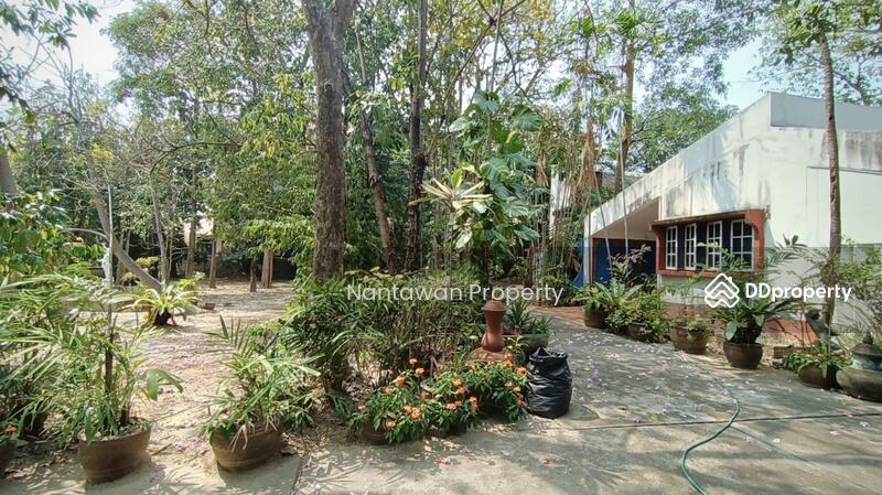 A rare unique house with lots of TREEs in Jed Yod area, Chiang Mai, Chiang Mai