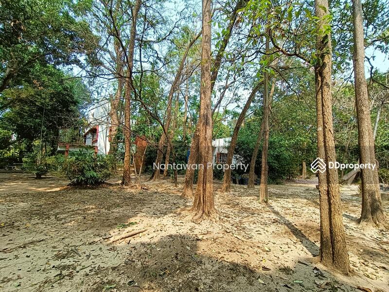 A rare unique house with lots of TREEs in Jed Yod area, Chiang Mai, Chiang Mai