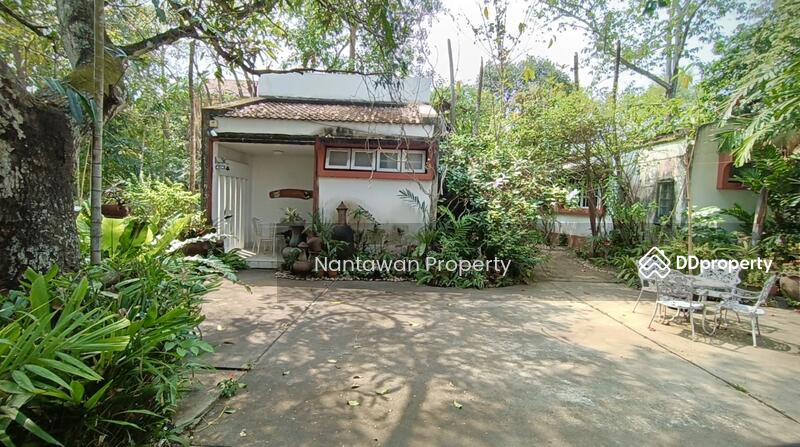 A rare unique house with lots of TREEs in Jed Yod area, Chiang Mai, Chiang Mai