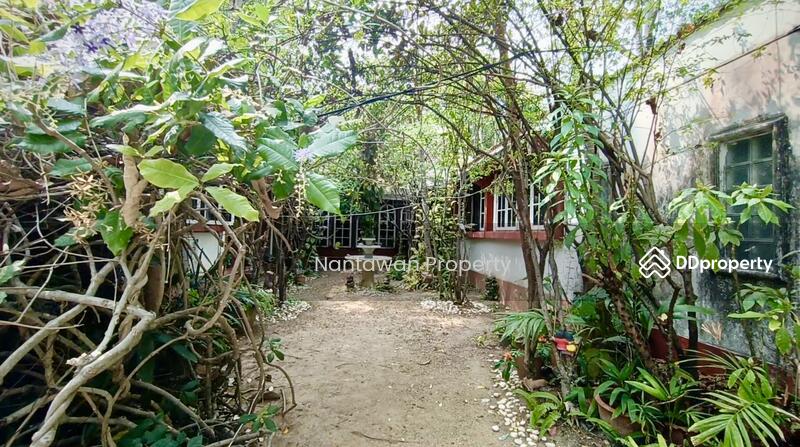 A rare unique house with lots of TREEs in Jed Yod area, Chiang Mai, Chiang Mai