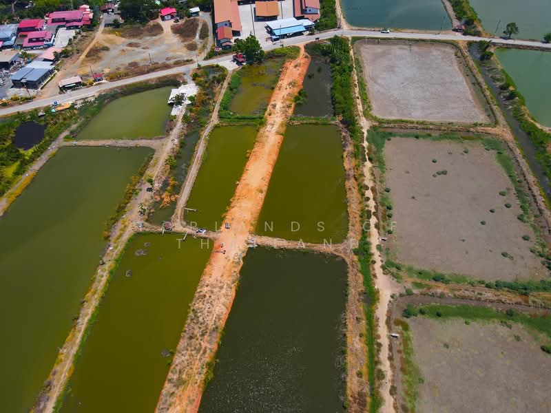 ขาย ที่ดิน บางบ่อ จ.สมุทรปราการ ถนนบานา-ตราด เนื้อที่ 60 ไร่ เหมาะสร้าง โรงงาน โกดัง และคลังสินค้า, Samut Prakan
