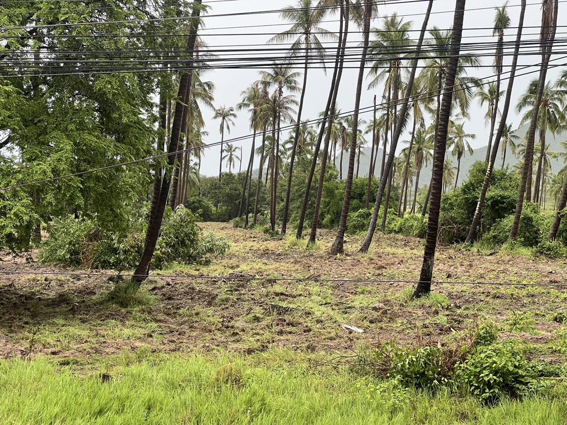 Vacant Land in Prachuap Khiri Khan, Prachuap Khiri Khan
