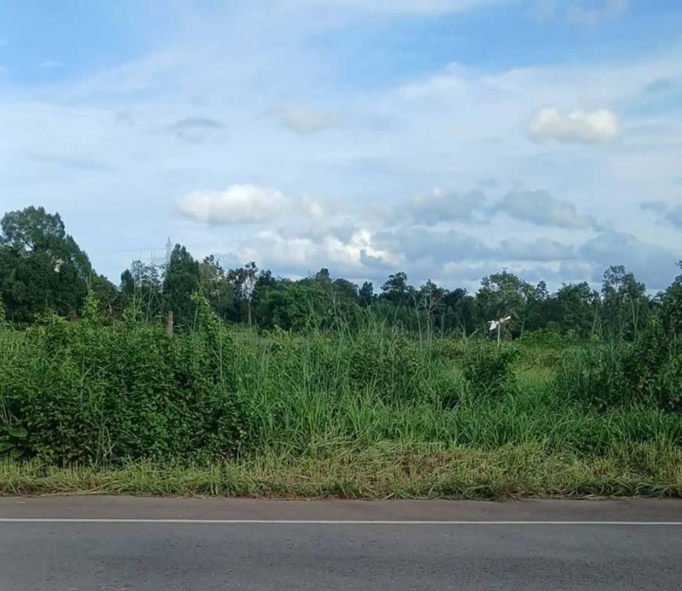 Empty Land for Sale in Phayen, Udon Thani