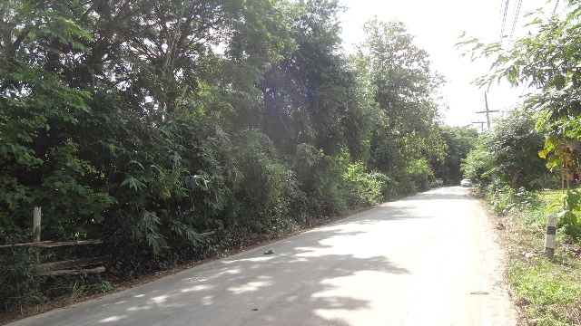 ที่ดินเปล่า ลำปาง
