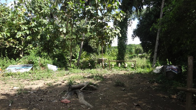ที่ดินเปล่า ลำปาง