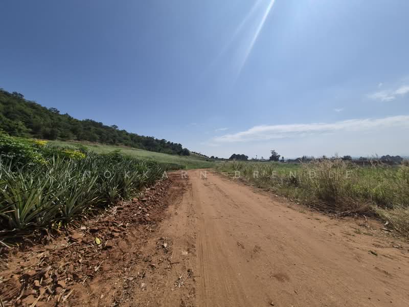 Beautiful 4-Rai Hillside Land for Sale Near Khao Tao Beach, Prachuap Khiri Khan
