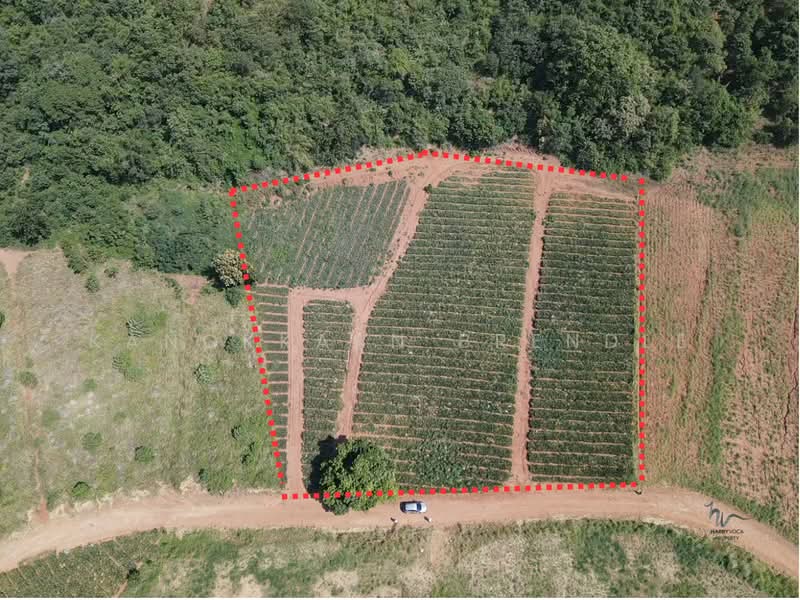 Beautiful 4-Rai Hillside Land for Sale Near Khao Tao Beach, Prachuap Khiri Khan