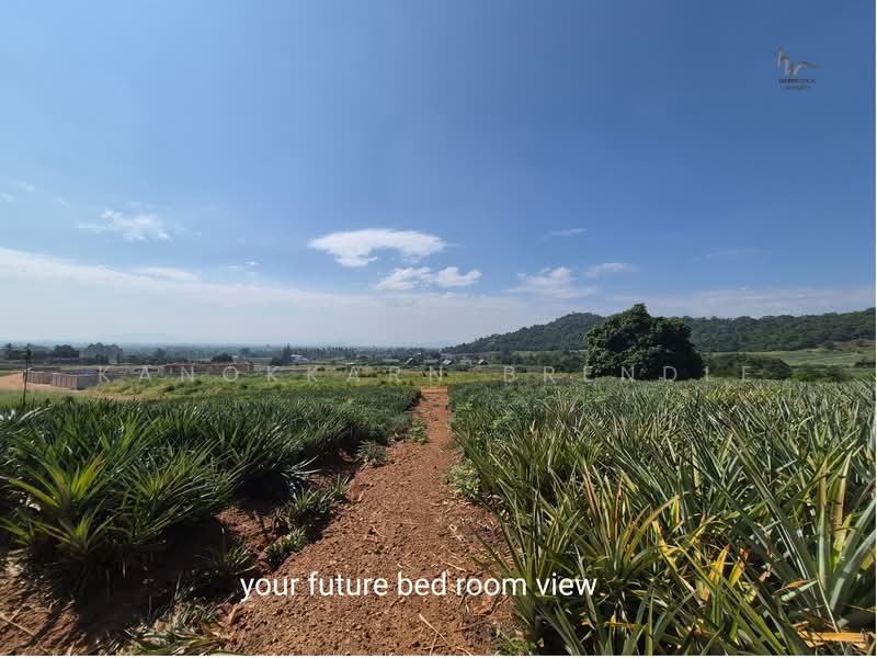 Beautiful 4-Rai Hillside Land for Sale Near Khao Tao Beach, Prachuap Khiri Khan