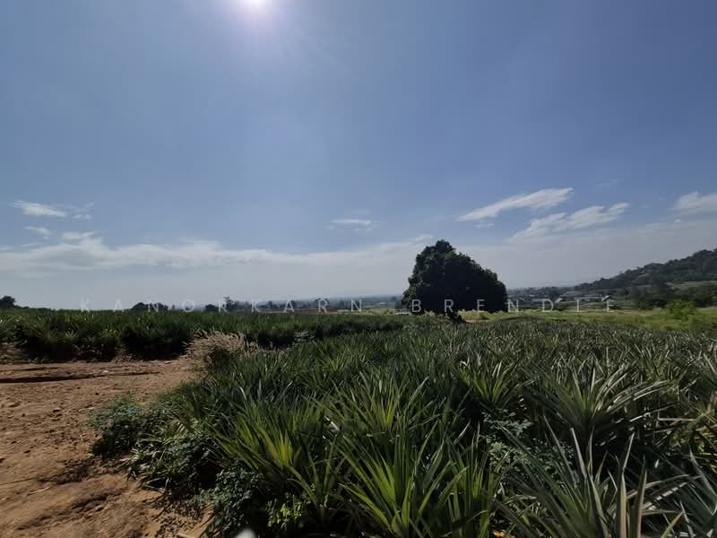 Beautiful 4-Rai Hillside Land for Sale Near Khao Tao Beach, Prachuap Khiri Khan