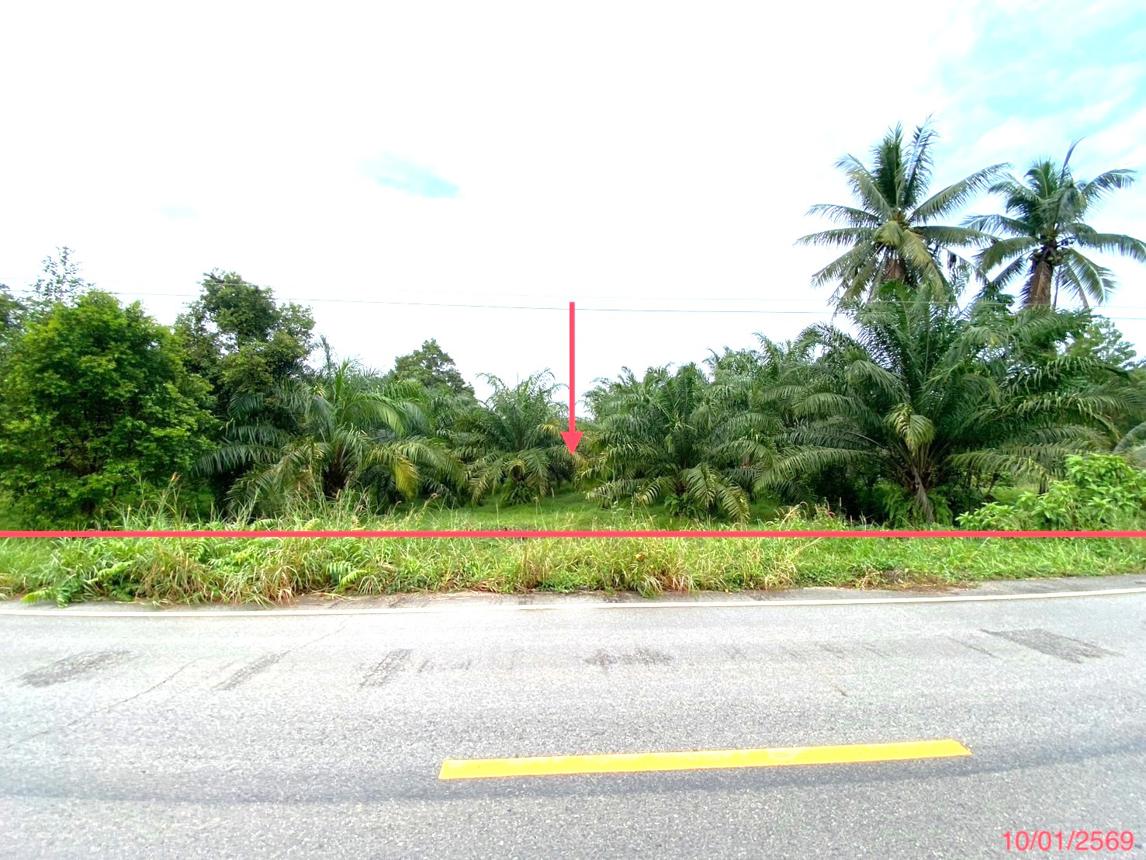 Empty Land for Sale in Thap Phan, Songkhla