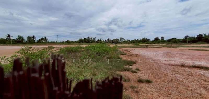 10-Rai Land for Sale in Lam Kho Hong Subdistrict, Non Sung District, Nakhon Ratchasima, Nakhon Ratchasima