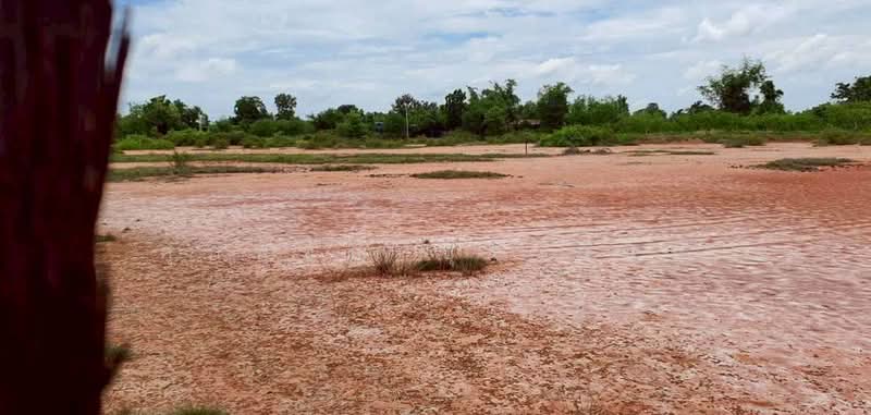 10-Rai Land for Sale in Lam Kho Hong Subdistrict, Non Sung District, Nakhon Ratchasima, Nakhon Ratchasima