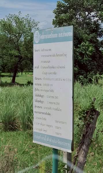 10-Rai Land for Sale in Lam Kho Hong Subdistrict, Non Sung District, Nakhon Ratchasima, Nakhon Ratchasima