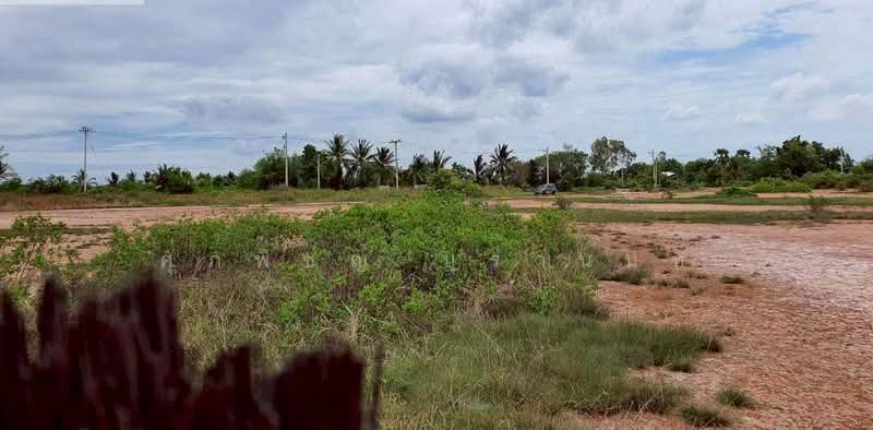 10-Rai Land for Sale in Lam Kho Hong Subdistrict, Non Sung District, Nakhon Ratchasima, Nakhon Ratchasima